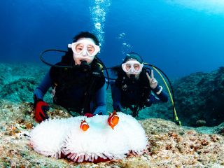 クマノミとパシャリ