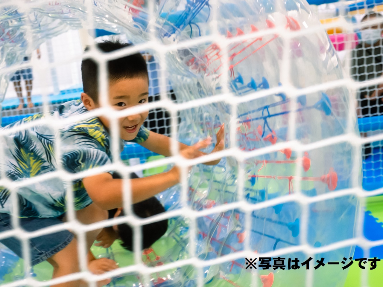 ǂ̎VяKid's US.LAND́A܊hĂql̒m̗͂ÂĂ܂Bʐ^̓C[Wł