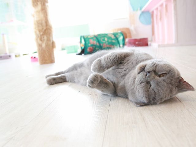 花の木シェルター 弐号館