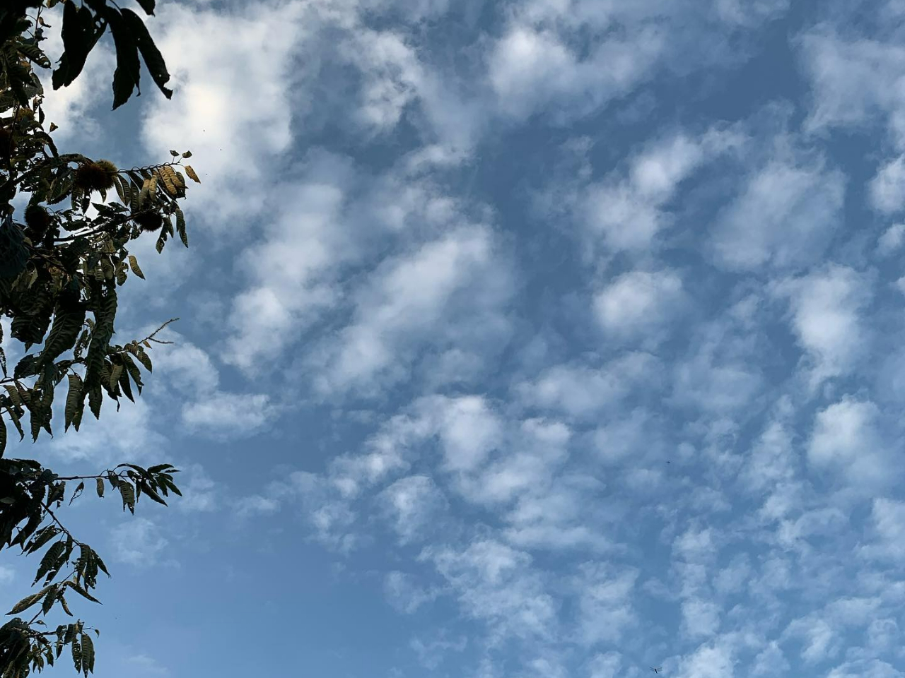 秋のファームFUMI