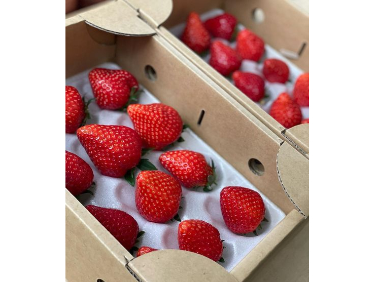 �䂤�₯�x���[�E����C�ׂ�[�E��ڂ��E�g�ق��؁E�Ƃ����Ƃ߁E�����������E�X�^�[�i�C�g�E�x���[�|�b�v�����E�͂�� �E�������̖�12�i����͔|���Ă���܂�