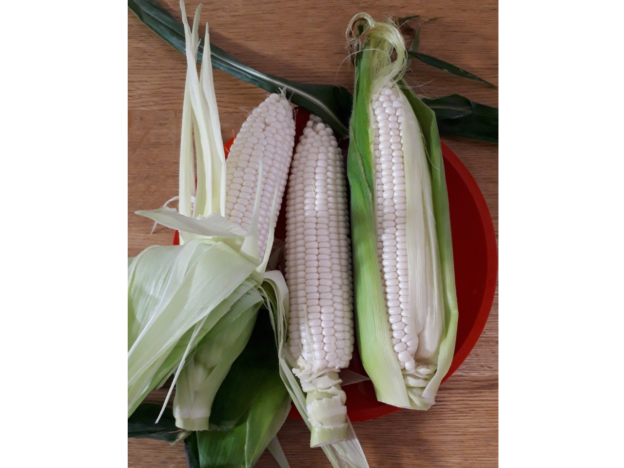 �������Ă̐�̗d����