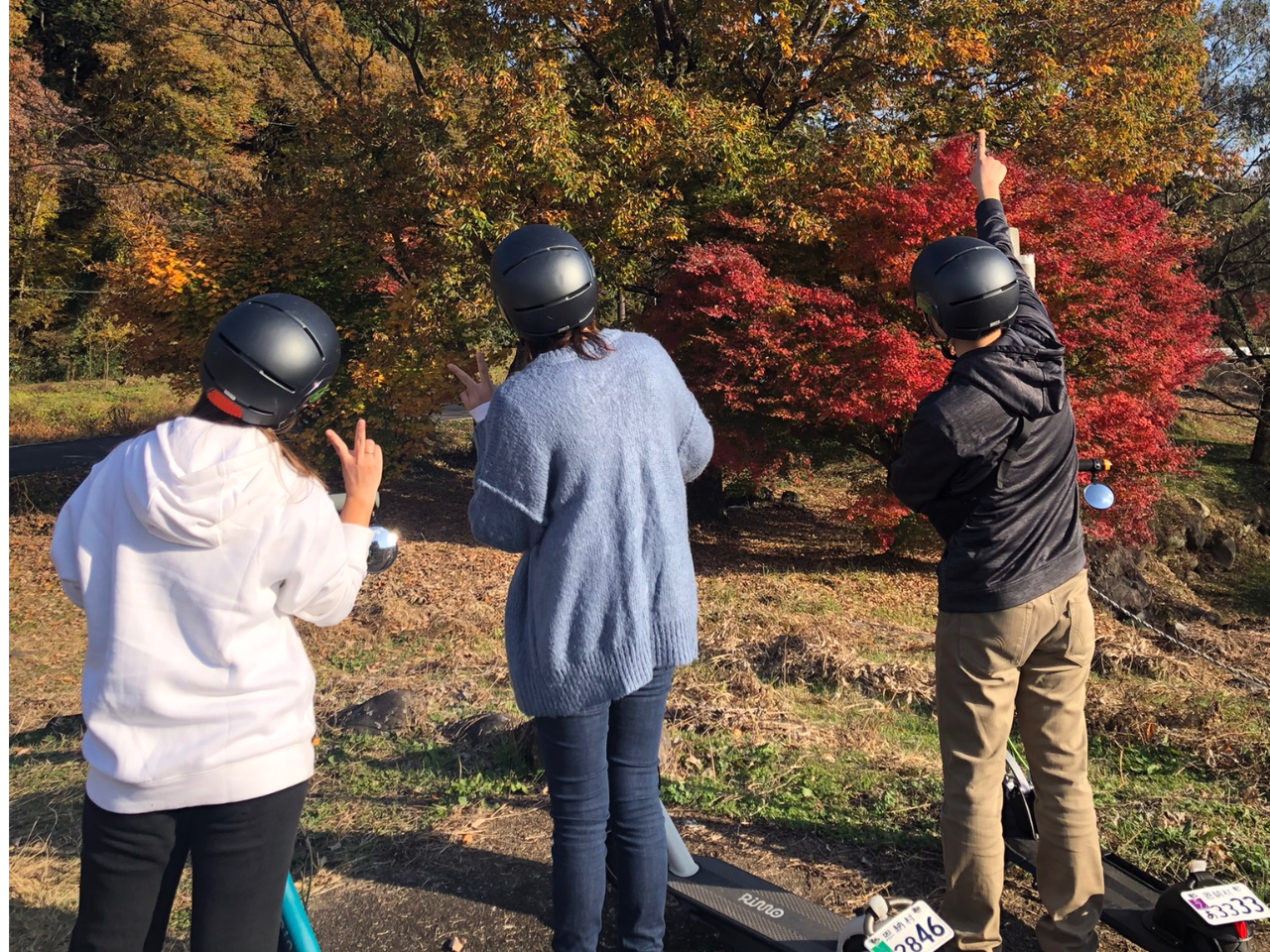 Ԃ񂽂ƁÂтƁIʐ^B肽ȂAɒԂĎBeł܂I֗łˁI