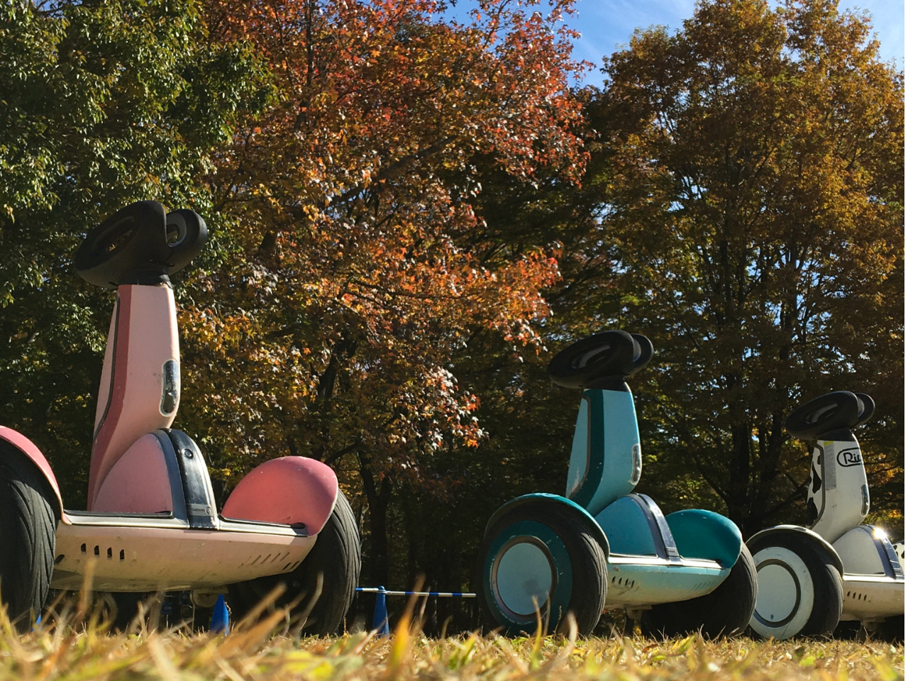 ZOEFČJÂĂ܂B̑̌ƂĂyԂƂȂ܂IЂ̌