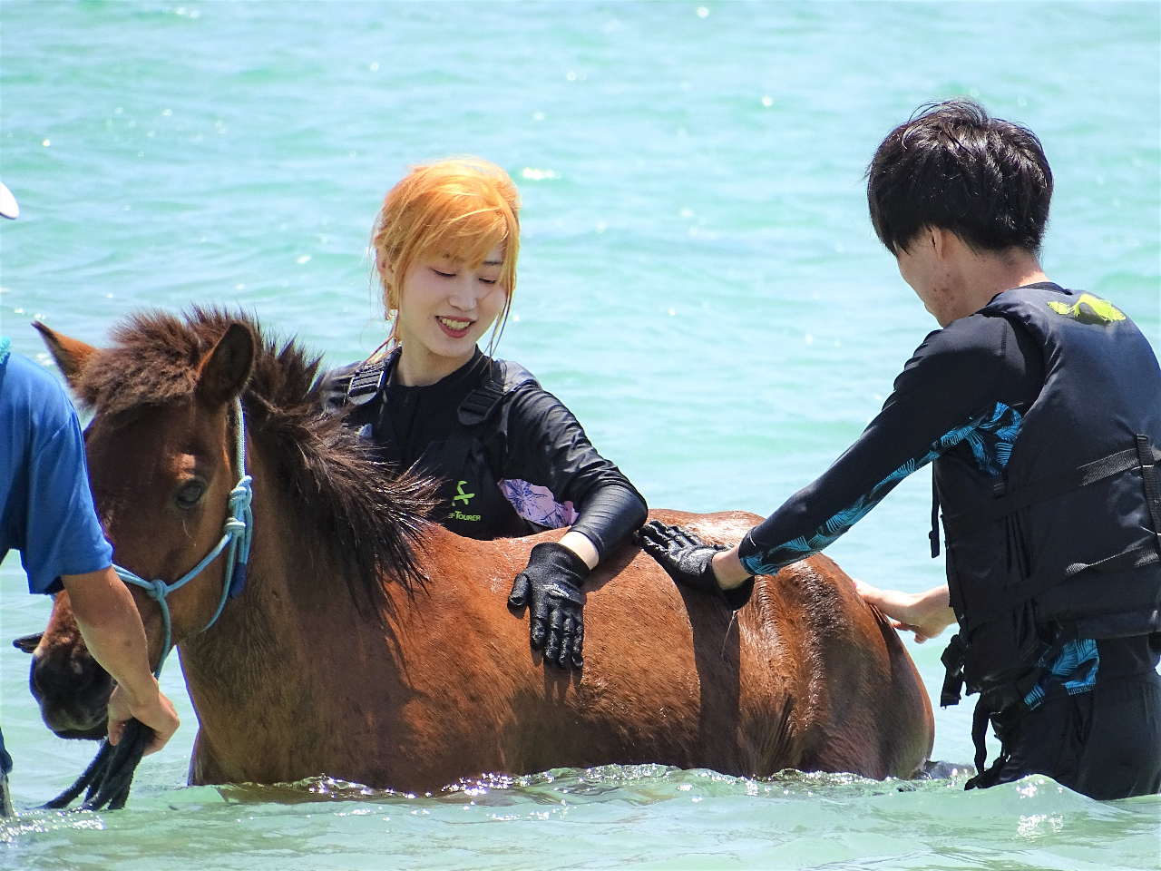 ☆お一人参加☆【馬に乗って海に飛び込もう！】温泉割引券付「海馬