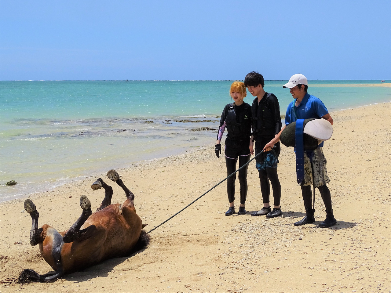 ☆お一人参加☆【馬に乗って海に飛び込もう！】温泉割引券付「海馬