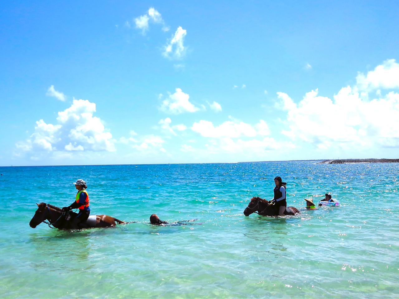 ☆お一人参加☆【馬に乗って海に飛び込もう！】温泉割引券付「海馬