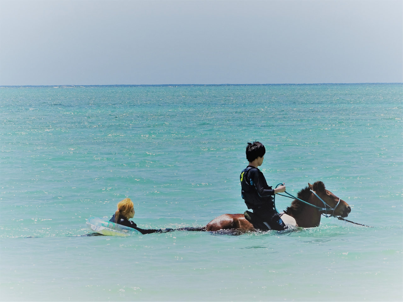 ☆お2人で参加☆【馬に乗って海に飛び込もう！】温泉割引券付「海馬