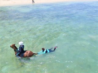 上から見るとこんな感じ。気持ちよさそう!