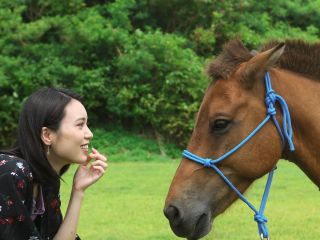希少な馬たちと癒しの時間を