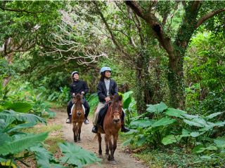 ホテル敷地内の小さな森の中をお散歩します