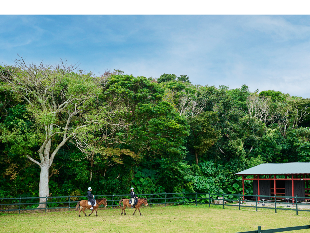 iOjE}ZސXƔnBłՂnƂӂꂠ