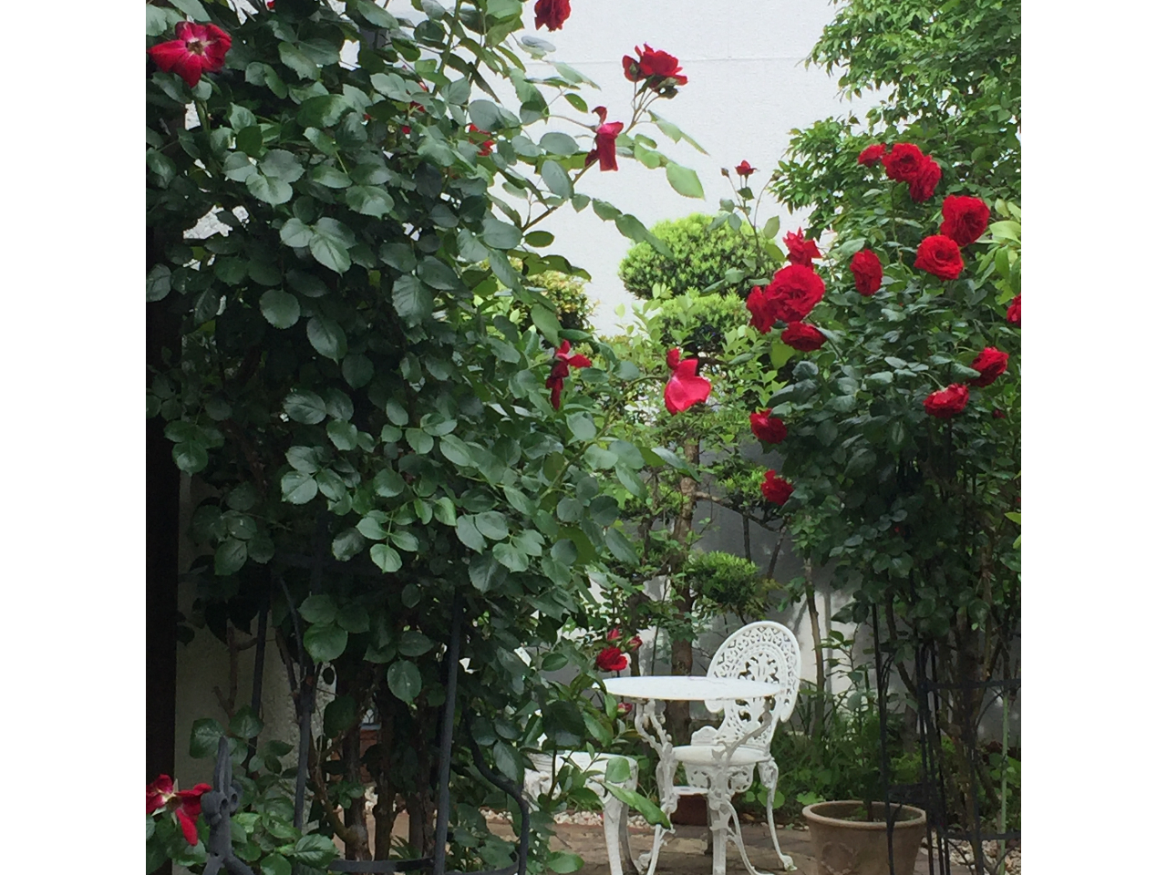 �o���̋G�߂ɂ͑��̊O�͂���ȕ��i�������܂��B