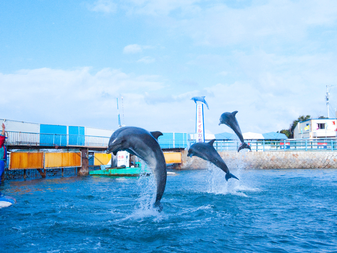 ���H�p�߂���ƃC���J���i������E���ى\�{�݂̈�j