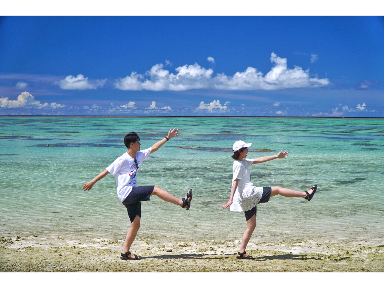 ԂŎQOK ЂƑg̃vCx[gcA[ cA[ʐ^v[g ^J[ł}\łɐCIYȌiFɂƂ߂