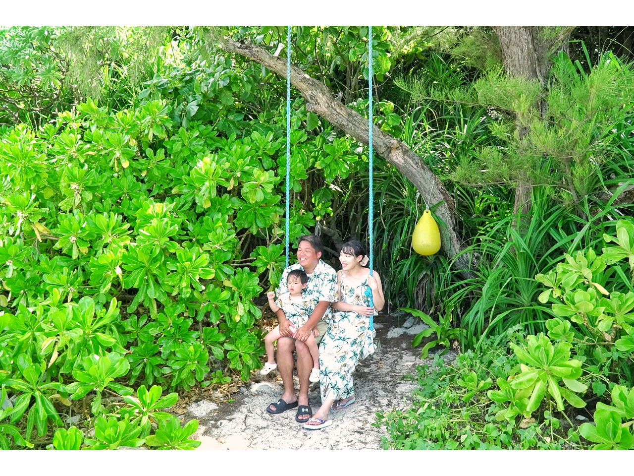 �n�l���[���⏗�q���ɉƑ����s�ȂǐΊ_���ό��ɂ��������߂ł��� ���߂Ẳ���A�Ί_�����s�Ƀs�b�^���I�v���̃J�����}���́w�y�����I�x���������܂���