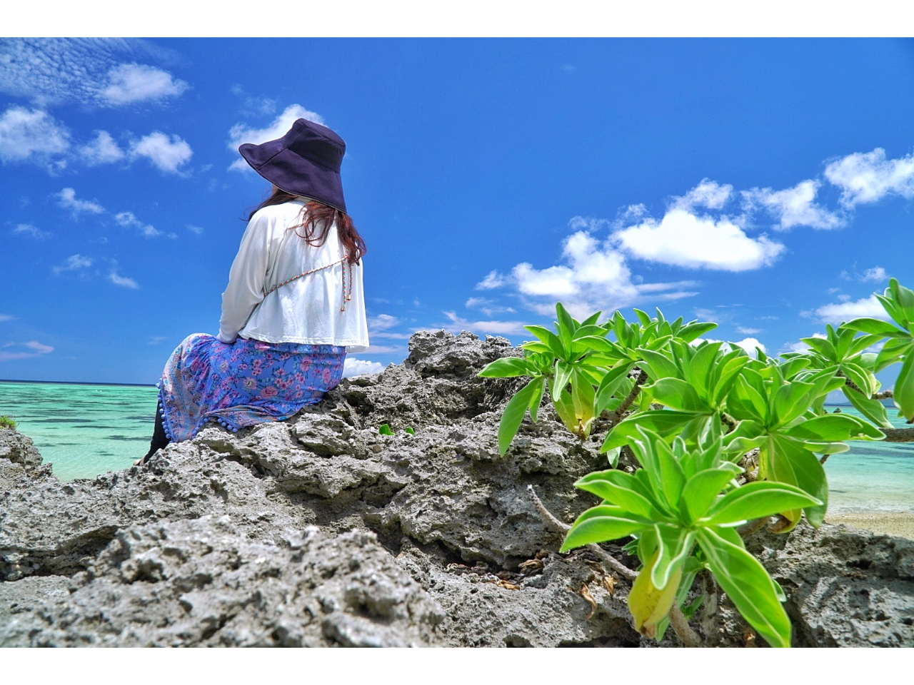 όCłƂĂ̐iX|bgȂ Ί_s̑zoɎc郍P[VtHg Beł邨ytHgcA[