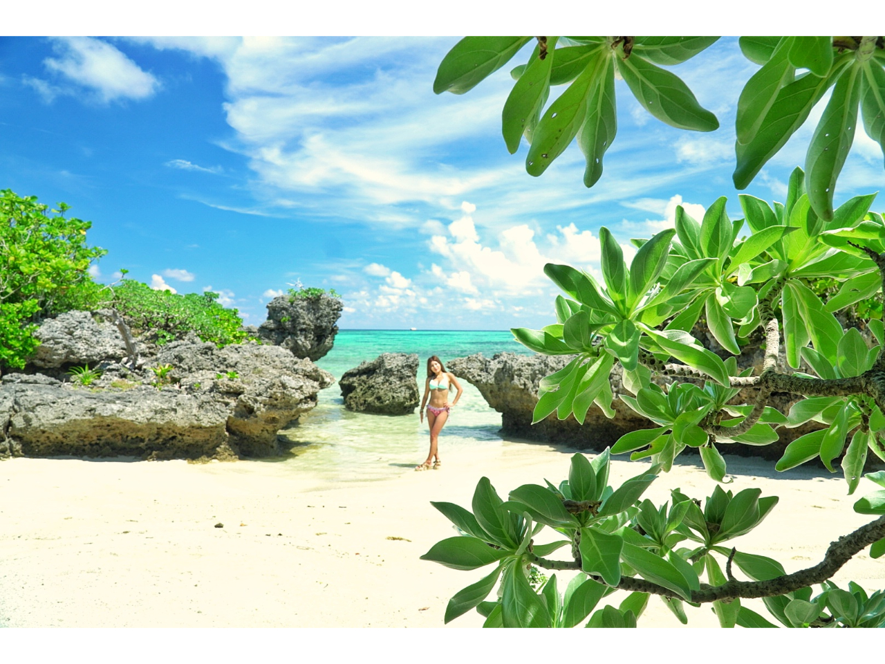 Ly[I1gSݐ؃vCx[gcA[ \zȏ̃f[^IBef[^v[g @_̃][gnu약pvŎBe^ 