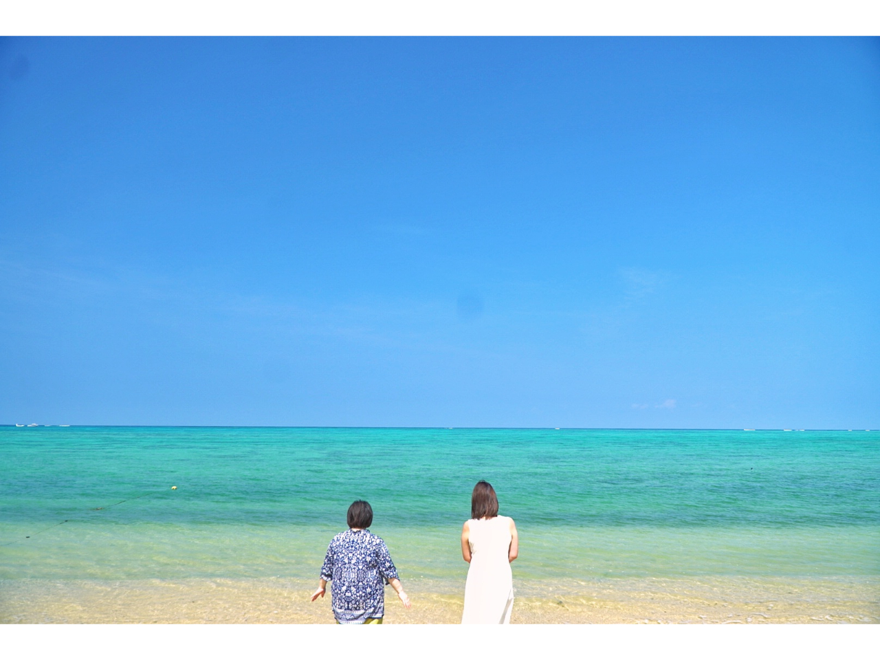 Ί_Ahx`[tHgcA[KIBOÚ̖ msI[i[cA[sI ̐i|Cg𓦂ēI 