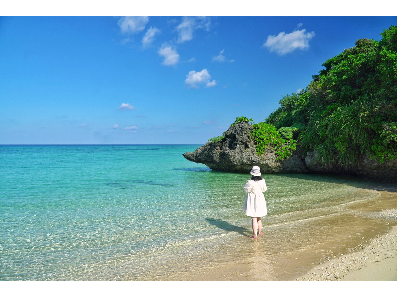 yip_CXŃRRgLNP[VtHgcA[z Ί_ŐitHg(^^)/Beʐ^Sf[^v[g