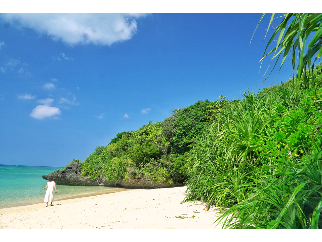 Wʐ^B낤ƂAOrNɁu݂܂[vĎBĂ炤炿Ƃ܂ʐ^ɂȂBBBʐ^܂ BĂ炦ґȊόtHg