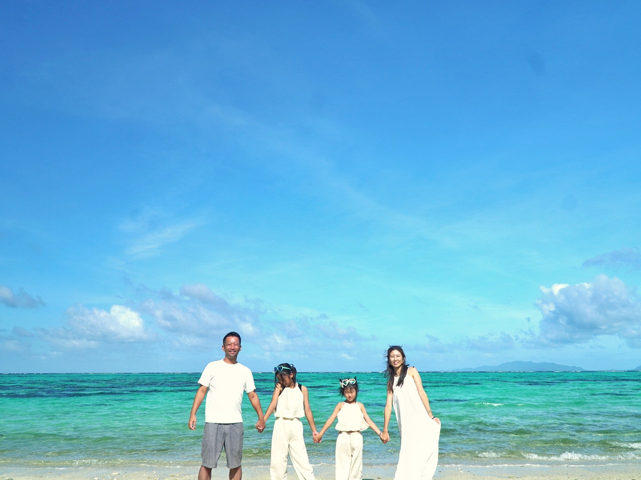 �E���F�B�E�J�b�v���E�n�l���[���E�t�@�~���[�ɂ��X�X���� �E1�g�ݐ؂ł�����̂�т蓇���肪�y���߂܂��y��ʓ��Ί_�z���ꂪ���{���D���Ȃ铇���̂���Ă����Ă��܂��I