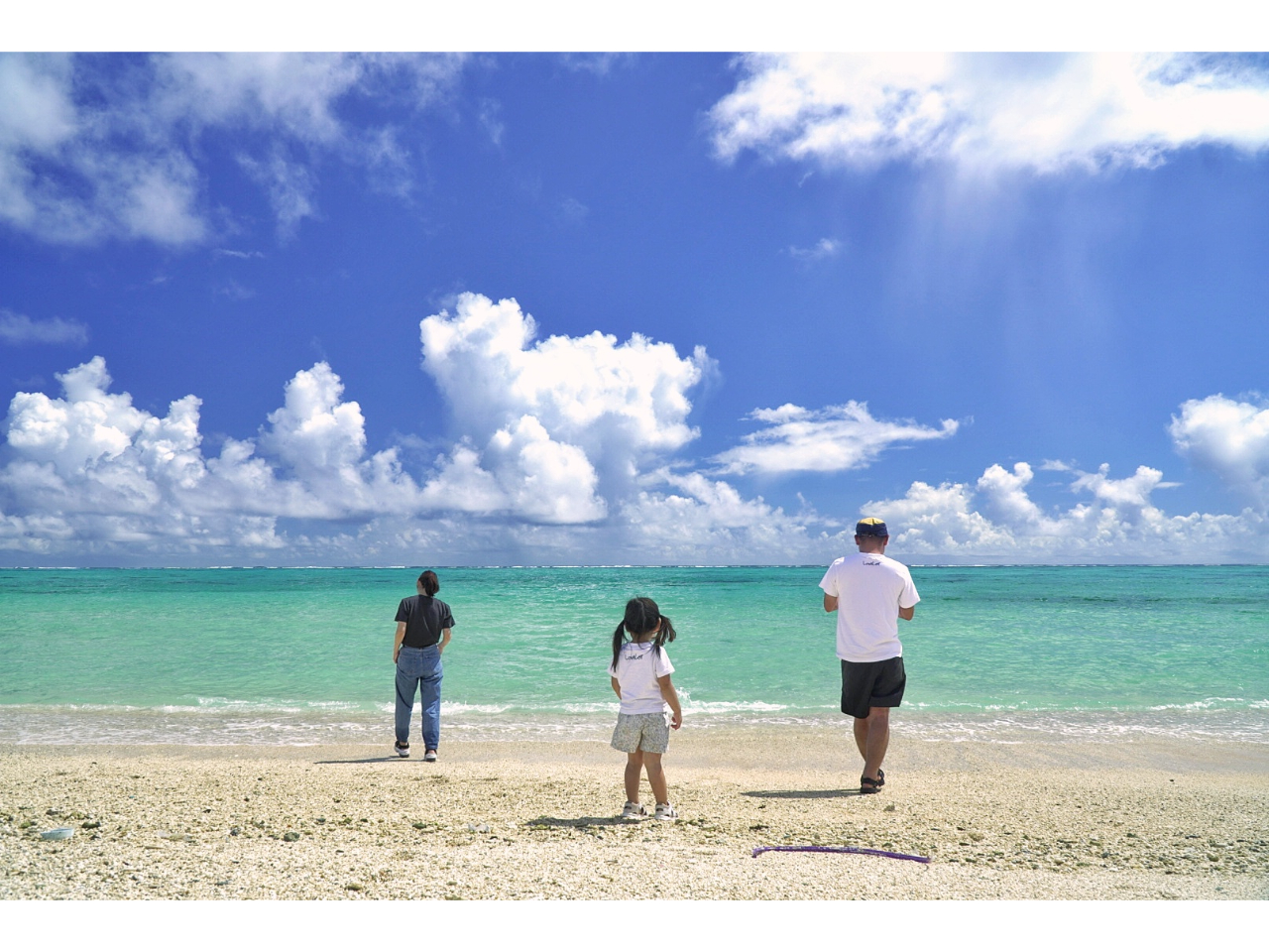 `SI[_[Ch1gݐ؃cA[` QXĝ]⃊NGXgł邾邽 cA[1g̑ݐ؁I