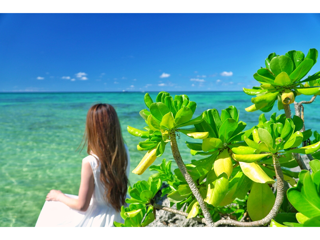 ǂ܂łGhO[̊Či ̗܂ȂSn悢pE_|Xm[ґtHgcA[1DAYv~AtHgcA[