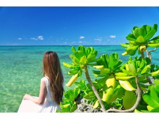 *どこまでも続くエメラルドグリーンの海の景観 *足の裏がたまらなく心地よいパウダ−スノー☆贅沢フォトツアー1DAYプレミアムフォトツアー♪