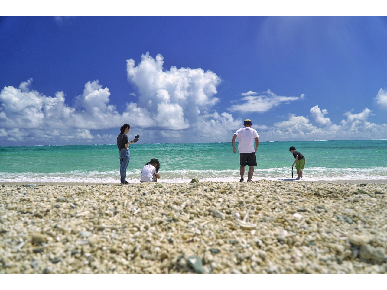 �y���Ȃ��̗����o���т炢�p���T�|�[�g���܂�p(^-^)q�z���̖��͂Ɗ������i���P�[�V�����t�H�g�c�A�[��