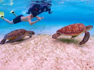 ウミガメに会えた記念に「はい、チーズ」