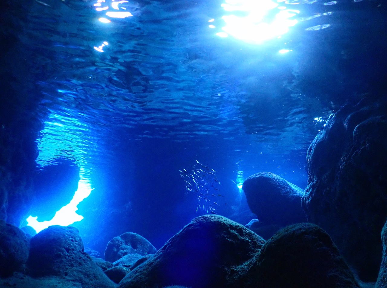 幻想的な青の世界へご案内