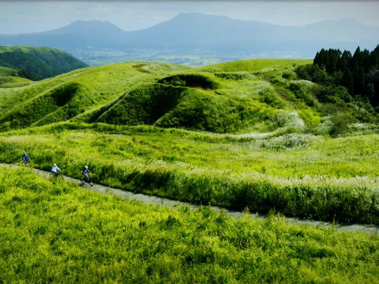 d̃}EeoCNȂ̂ŁA̗͂ɎMȂ⏉߂Ă̕łSđ}EeoCNŋ삯܂B