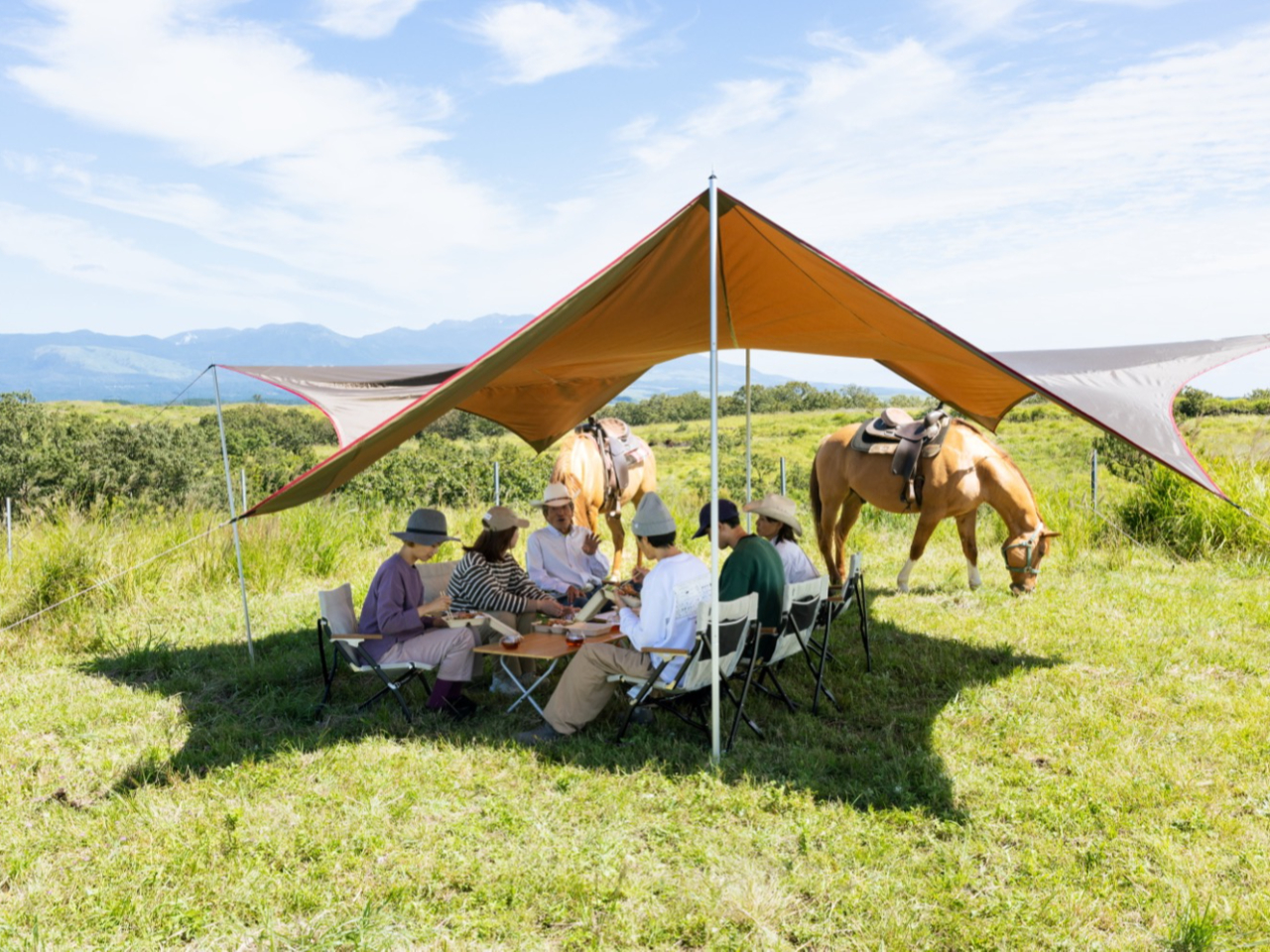 i͗Ȃ̒Ƀ`X|bgpӁBƑ̒Ń`y݉B