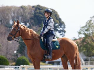 馬の上の気分はどんな感じでしょう。その気分の良さは、乗った方にしかわかりません。是非、皆様にも味わっていただきたいです。