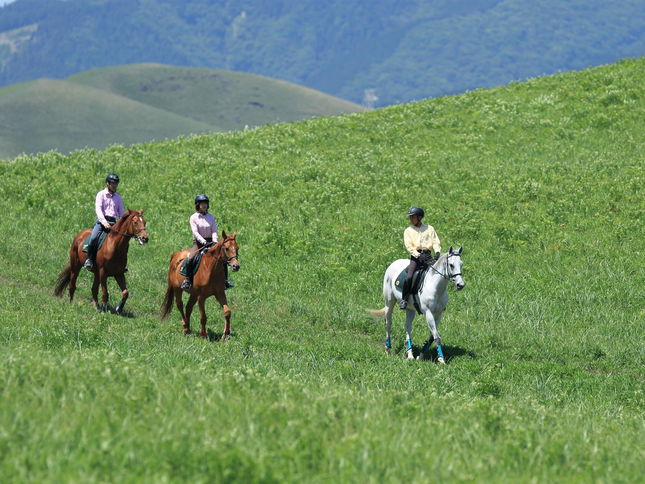 ̎UCuBFĺACݔhHhH܂́ANu܂ő̌ɂzB̌nCt̃X^[głB