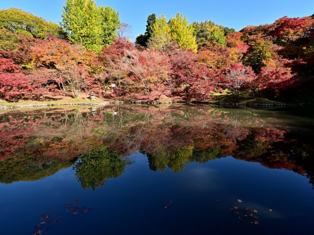 【用作公園】大分県を代表する紅葉の名所