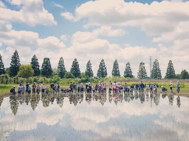 さいたま市】5/18（土）午後：大人も子どもも力を合わせて♪田植え