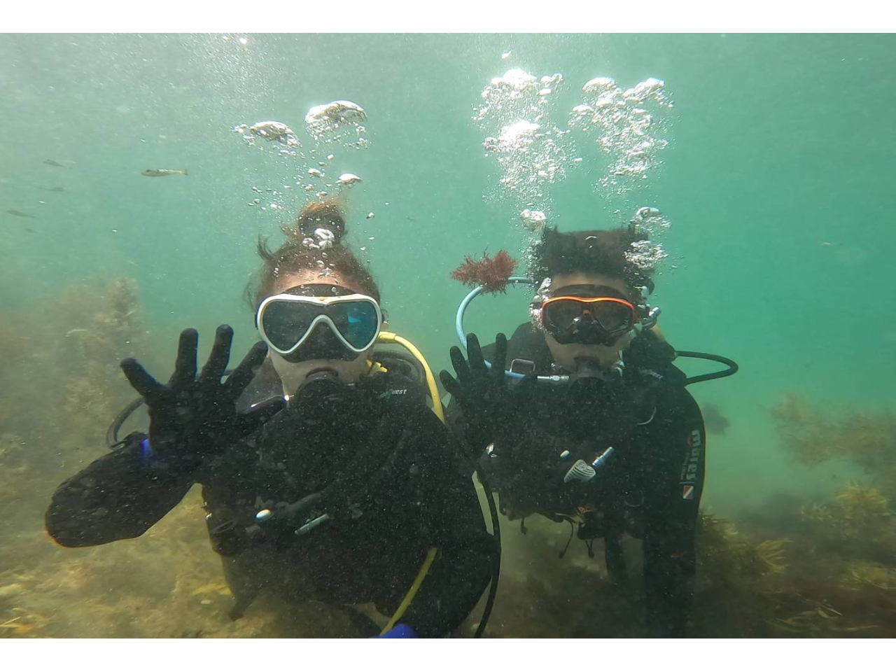 ̌_CrO͂Pgłē܂ő݂؂łēł܂B