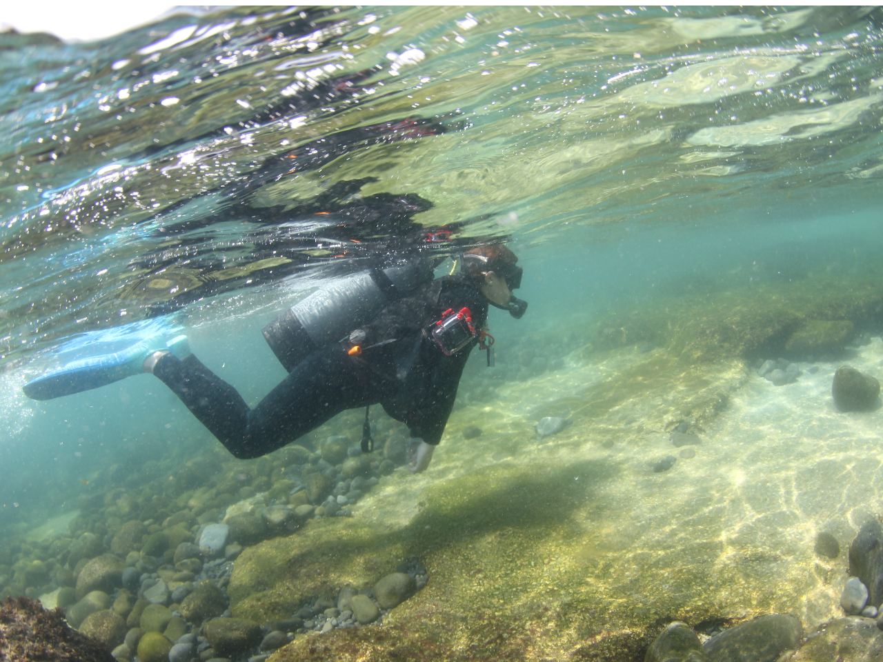 透視のいい時はこんなに綺麗!