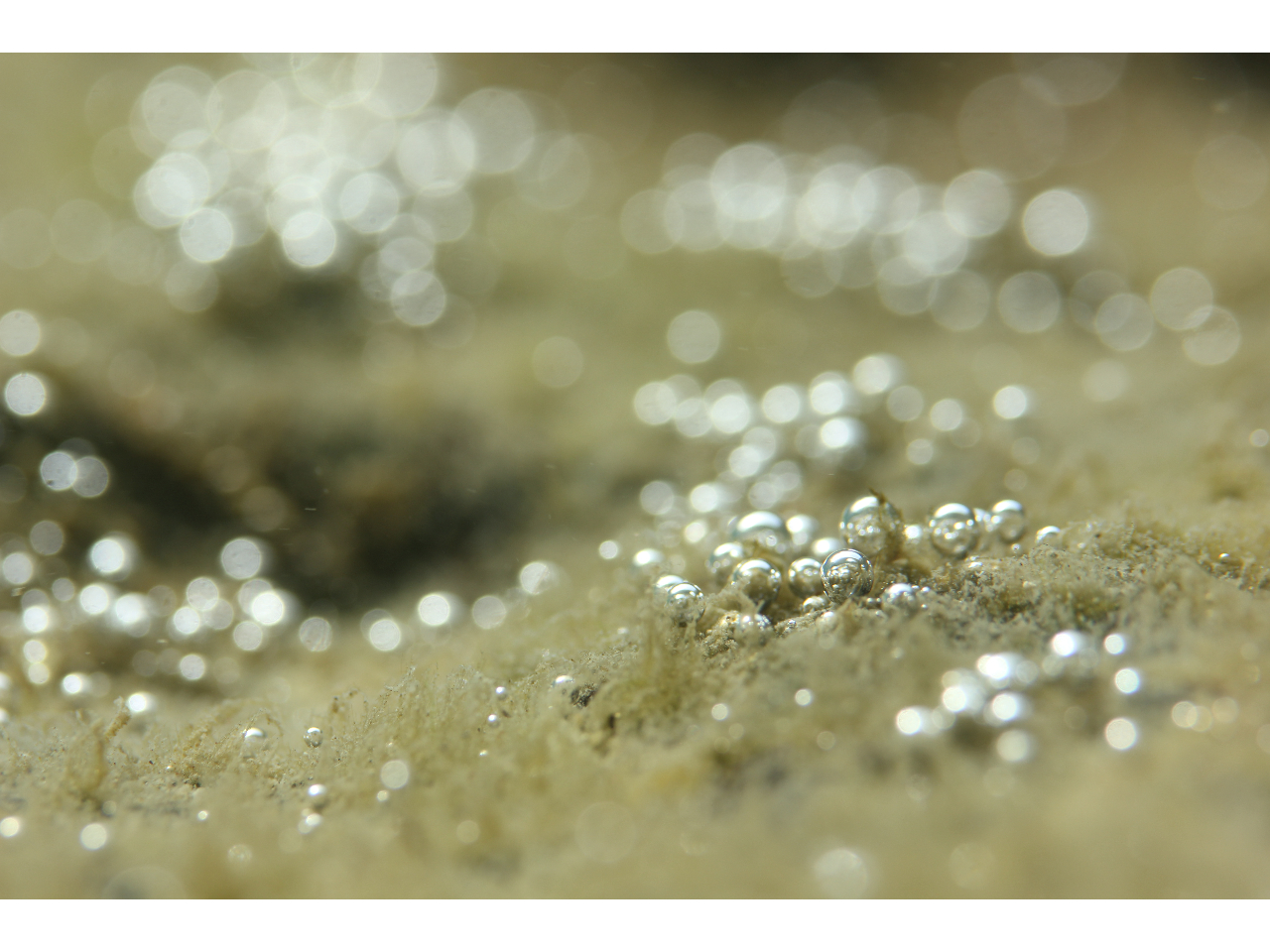 浅瀬のキラキラの泡の世界。