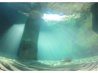 まるで海中遺跡のような場所も!