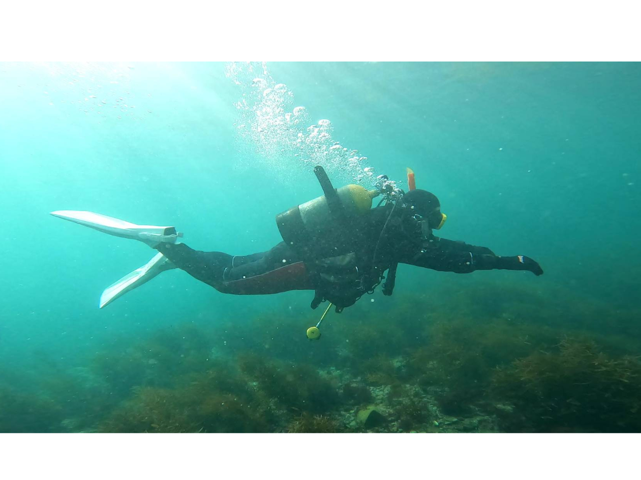 t@_CrOƂ͕ʂICɂ肽XLAK܂傤I