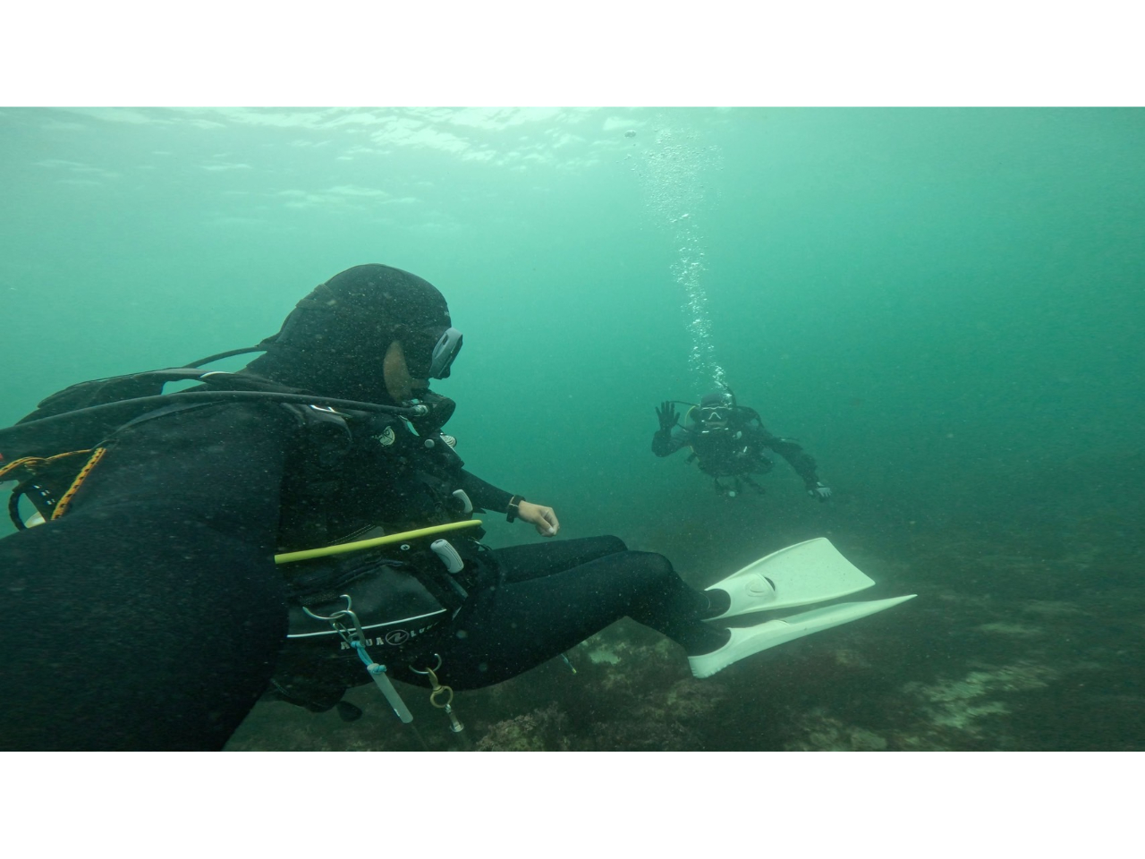 X̃tbVv̓t@_CrO̕Ƃ͕ʂɂēI}Cy[XɊo߂܂