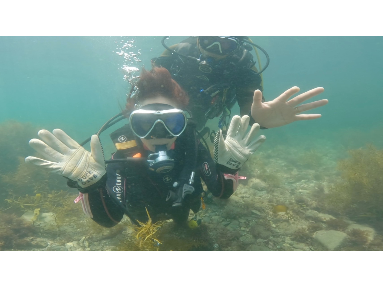 【千葉・勝浦エリア】■体験ダイビング■ ☆1名様大歓迎!☆ \非日常の体験♪わく...