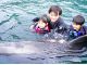 イルカたちが興味津々で近寄ってきてくれたら観察のチャンス!