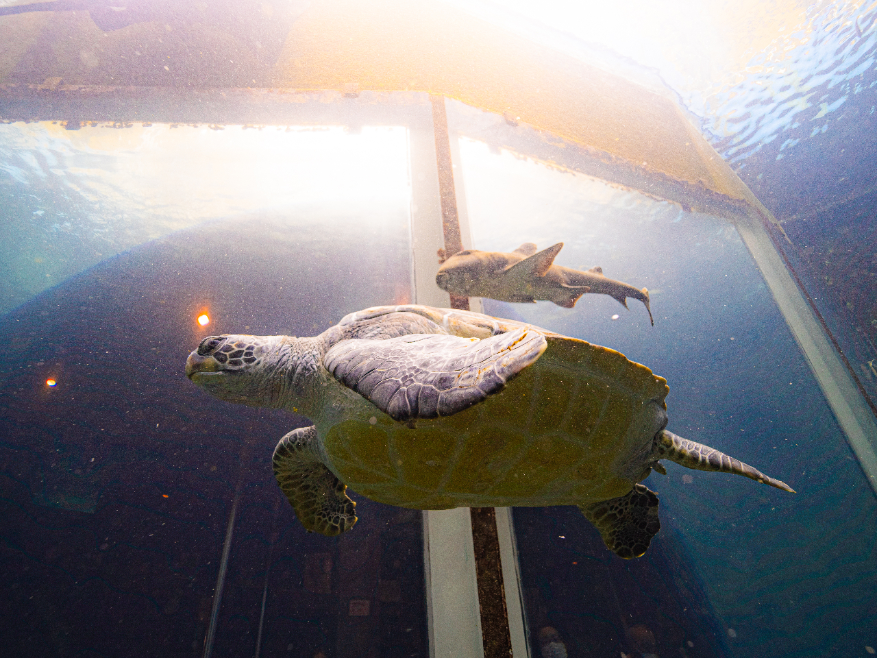 �������E���y����ł��邷�����ł́A�l�X�ȋ��������V��ł��܂��I