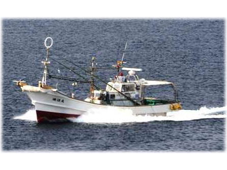 瑛迅丸のキビナゴ漁
チャーターでご家族、友人と楽しめます!