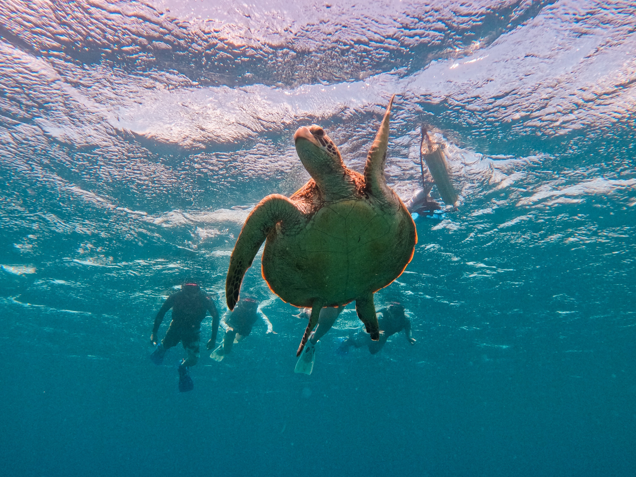 E~K̑͂Ȃ95%ȏI^ǂΖڂ̑Oŉjł邩I