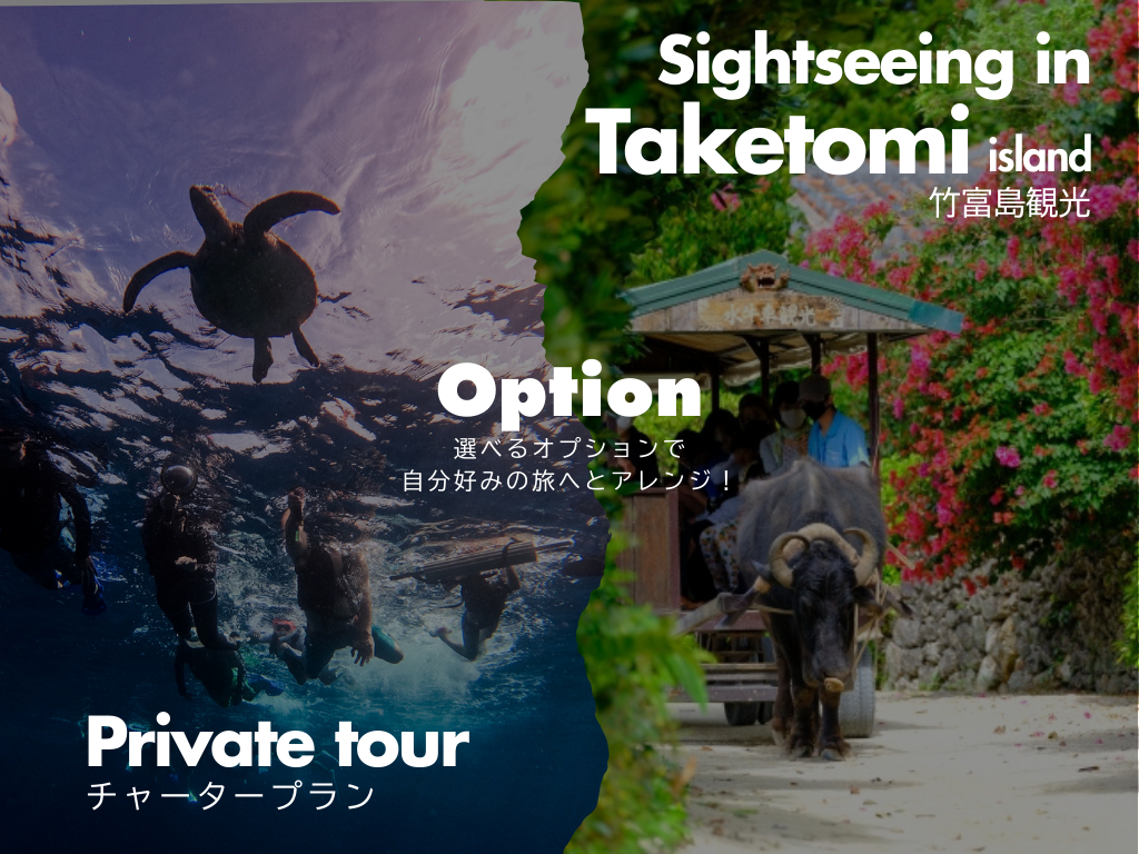 IׂIvVŃcA[AWIyI\IvVꗗz@|xόtF[`Pbg /  A1gݐ؃cA[